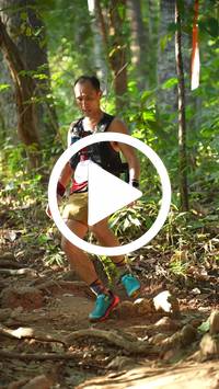 BIB:  <button type="button" onclick="openModal(27638436)" class="btn btn-primary btn-sm float-right" data-toggle="modal" data-target=".modal-high-quality">
                <i class="fa fa-download"></i> Download
                </button>